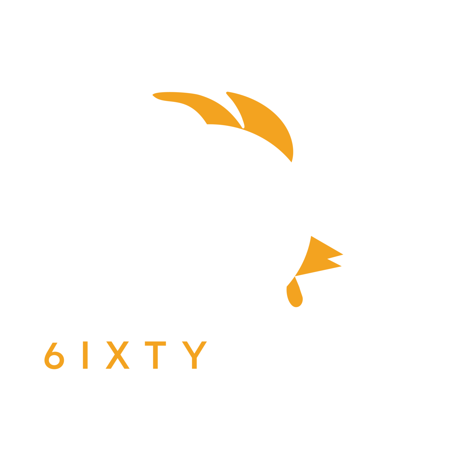 Wings 6IXTY WINGS